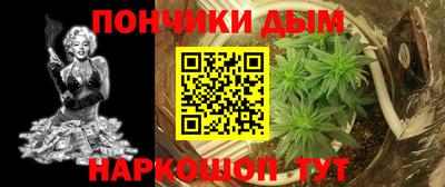 apvp Партизанск