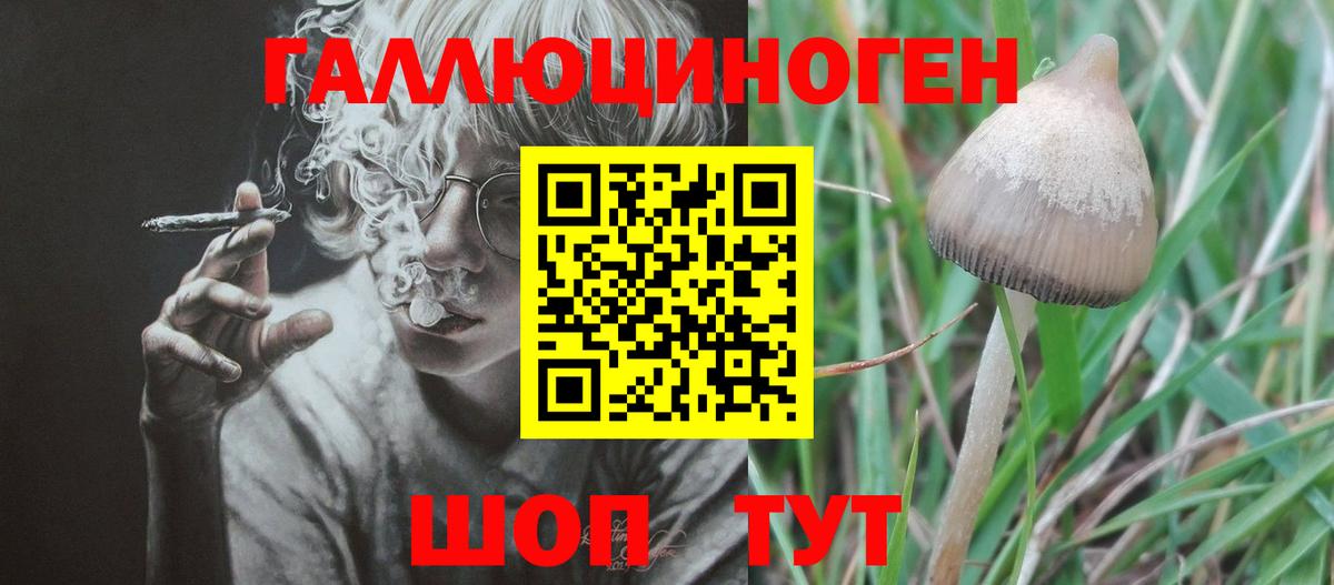 Озёрск  Псилоцибиновые грибы прущие грибы  Вход с VPN  Псилоцибиновые грибы GOLDEN TEACHER 